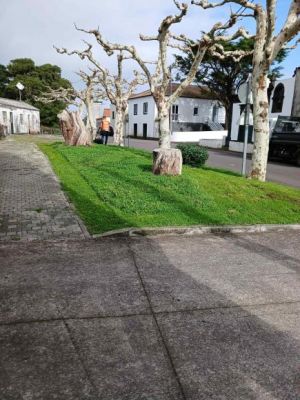 Manuten&ccedil;&atilde;o dos Espa&ccedil;os Ajardinados da Freguesia - Jardim dos Toledos 