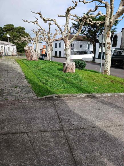 Manuten&ccedil;&atilde;o dos Espa&ccedil;os Ajardinados da Freguesia - Jardim dos Toledos 