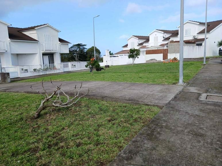 Manuten&ccedil;&atilde;o dos Espa&ccedil;os Ajardinados da Freguesia - Jardim do Col&eacute;gio