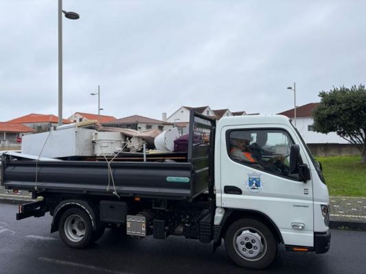 Junta de Freguesia da Madalena realiza Recolha de Monos e Monstros na Freguesia 