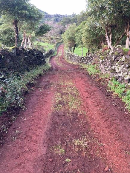 Manuten&ccedil;&atilde;o da Rede Vi&aacute;ria - Corti&ccedil;o de Cima 