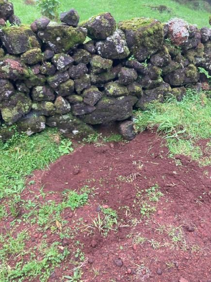 Limpeza dos boeiros nos caminhos agr&iacute;colas - preven&ccedil;&atilde;o, seguran&ccedil;a e compromisso com os agricultores 