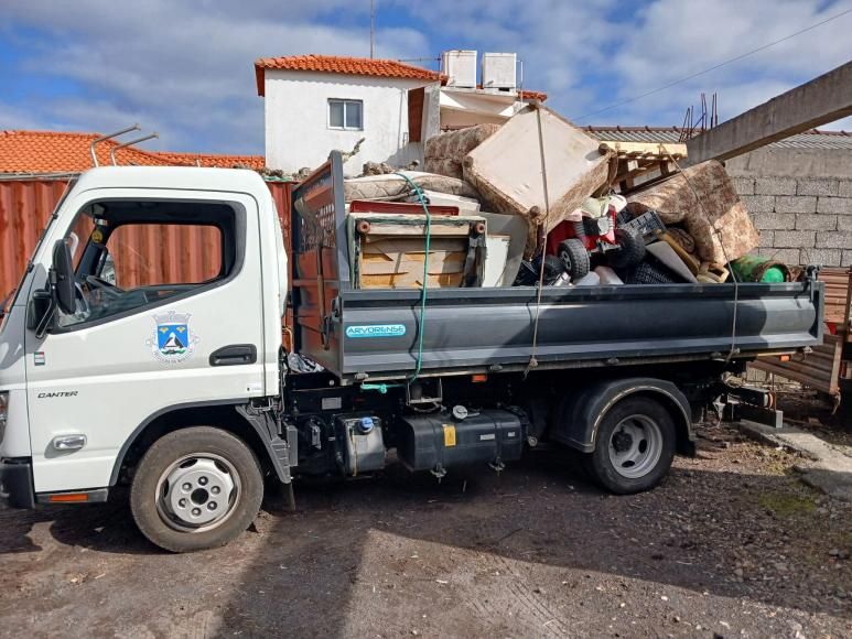 Recolha de Monos e Monstros - Cuidar da Nossa Madalena 
