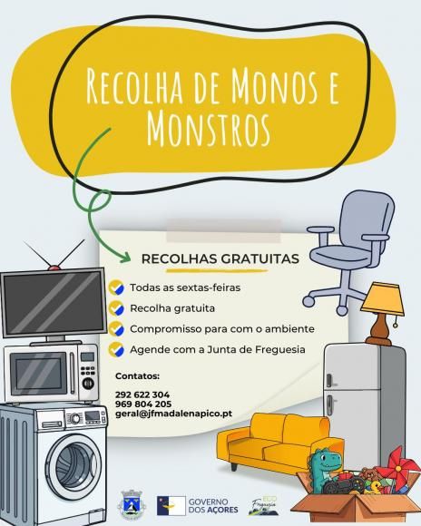Recolha GRATUITA de Monstros e Monos na Freguesia da Madalena 