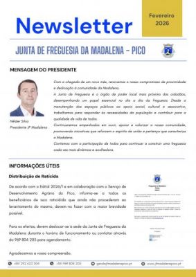 Newsletter - Fevereiro de 2026