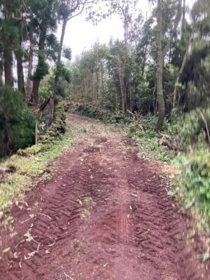 Limpeza de Vias na Madalena do Pico