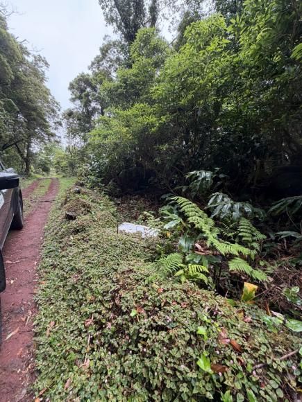 Eco Freguesia 2026: Primeira visita refor&ccedil;a necessidade de cuidar do espa&ccedil;o p&uacute;blico