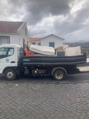 Recolha de monstros e monos na passada sexta-feira 