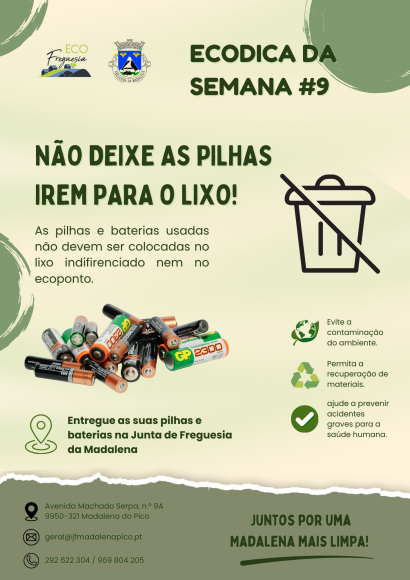 EcoDica #9