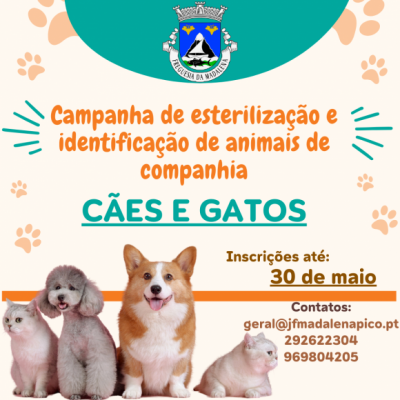 Campanha de Esterilização e Identificação de Animais de Companhia