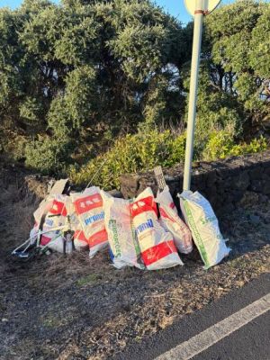 Escola Profissional da Madalena & Junta de Freguesia da Madalena: Juntos pela Prote&ccedil;&atilde;o do Meio Ambiente 